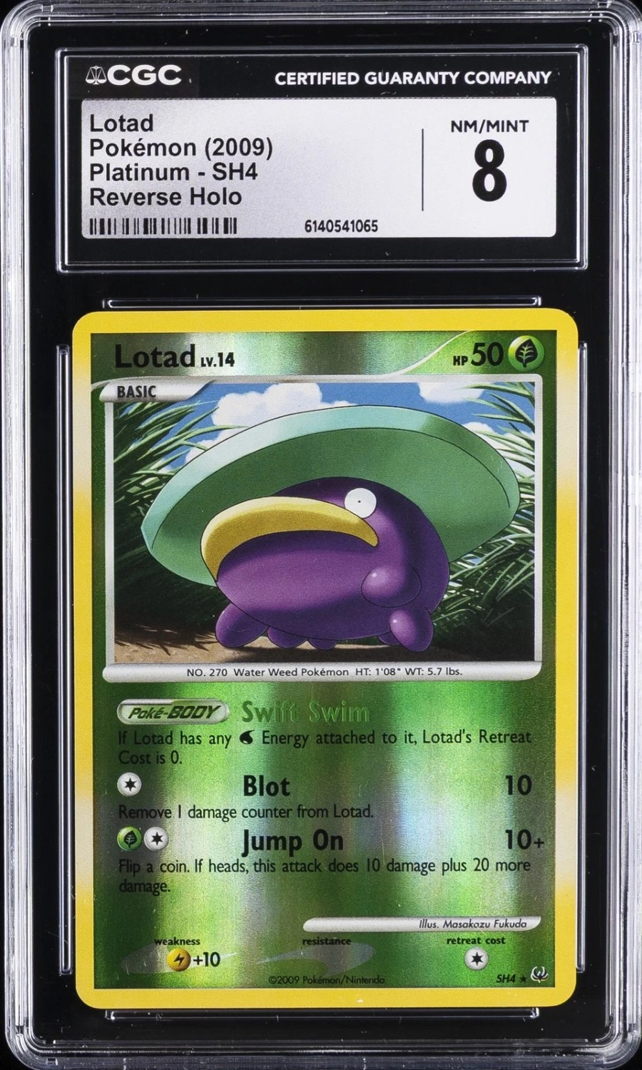 Lotad