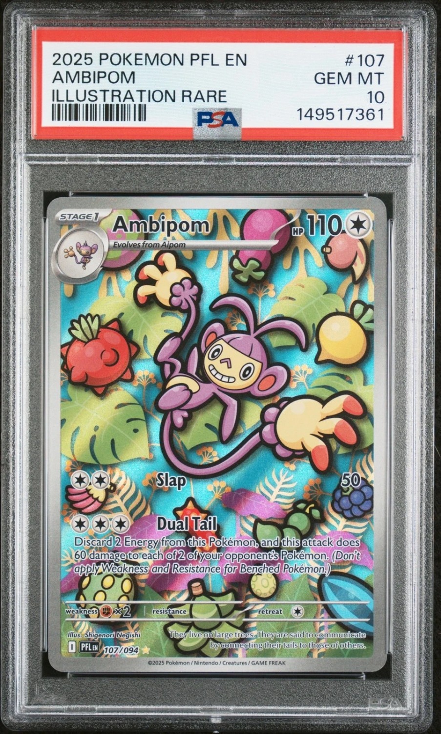 AMBIPOM
