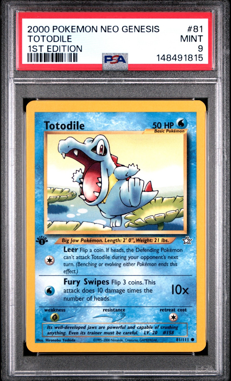 Totodile