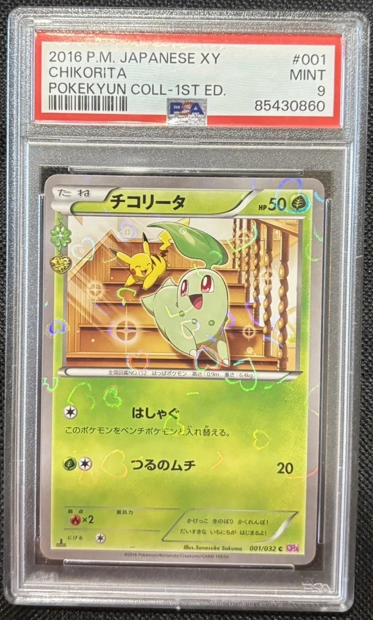 Chikorita