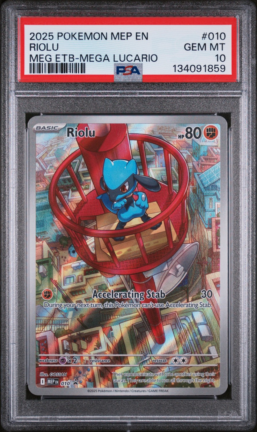 Riolu