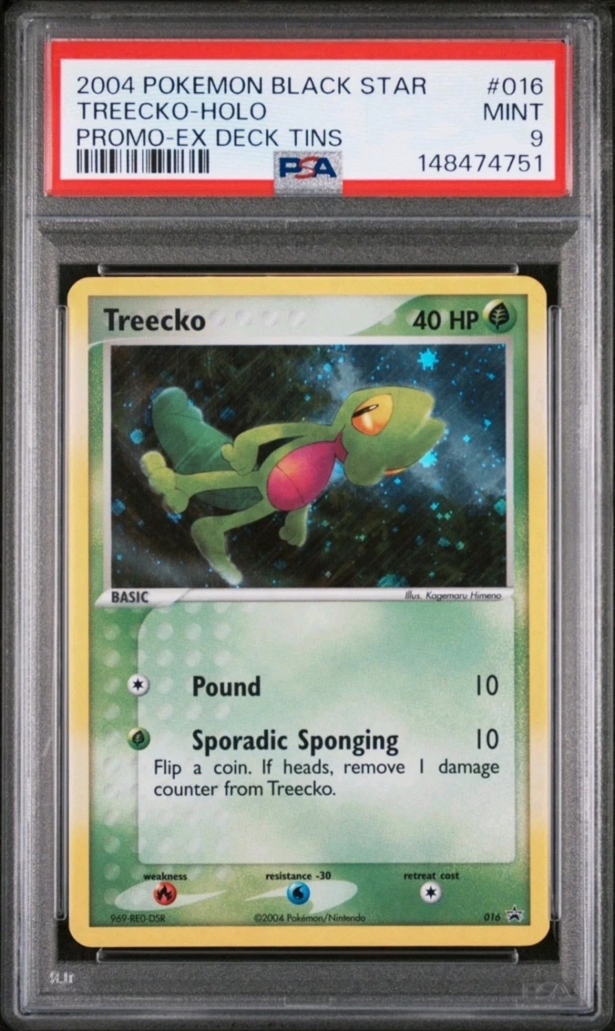Treecko