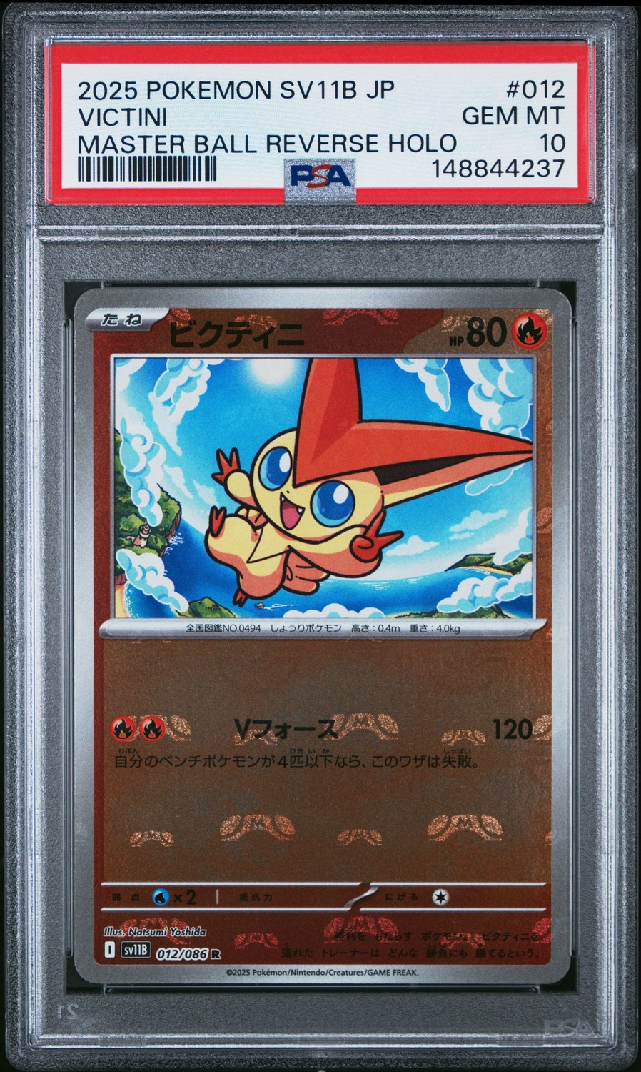 VICTINI