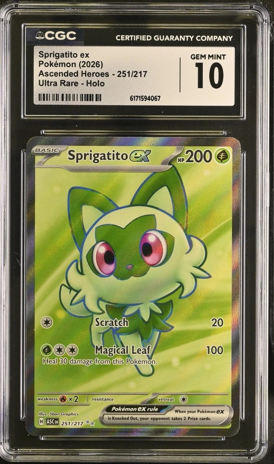 SPRIGATITO ex