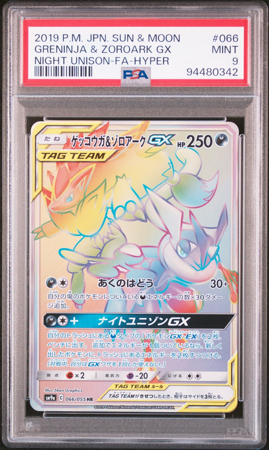 Greninja & Zoroark GX