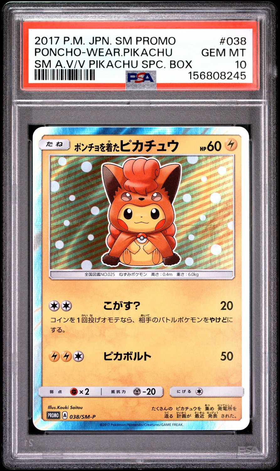 Poncho-Wearing Pikachu