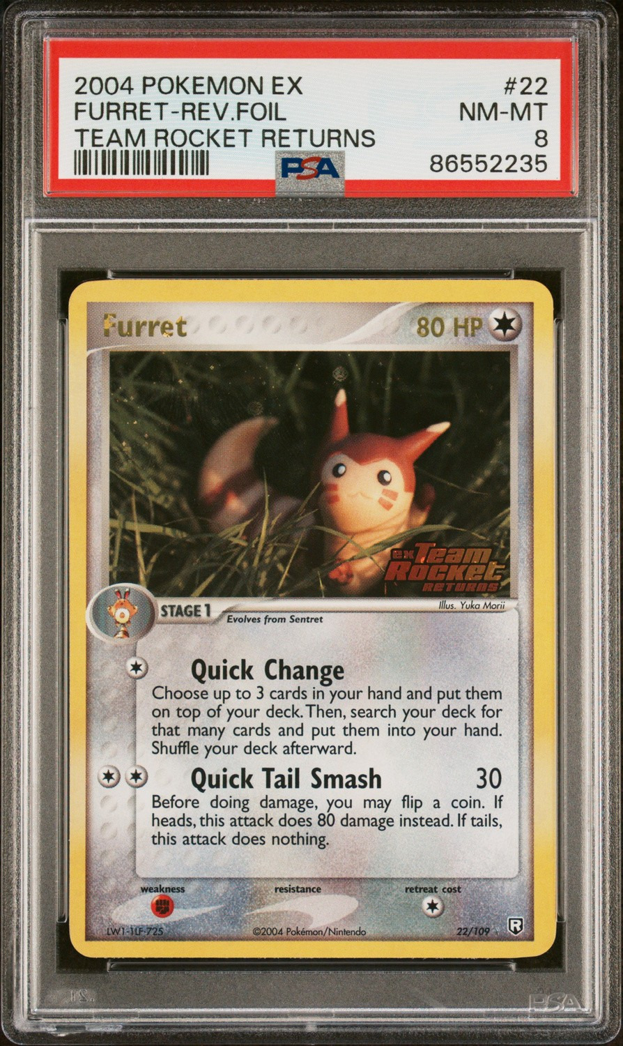 Furret