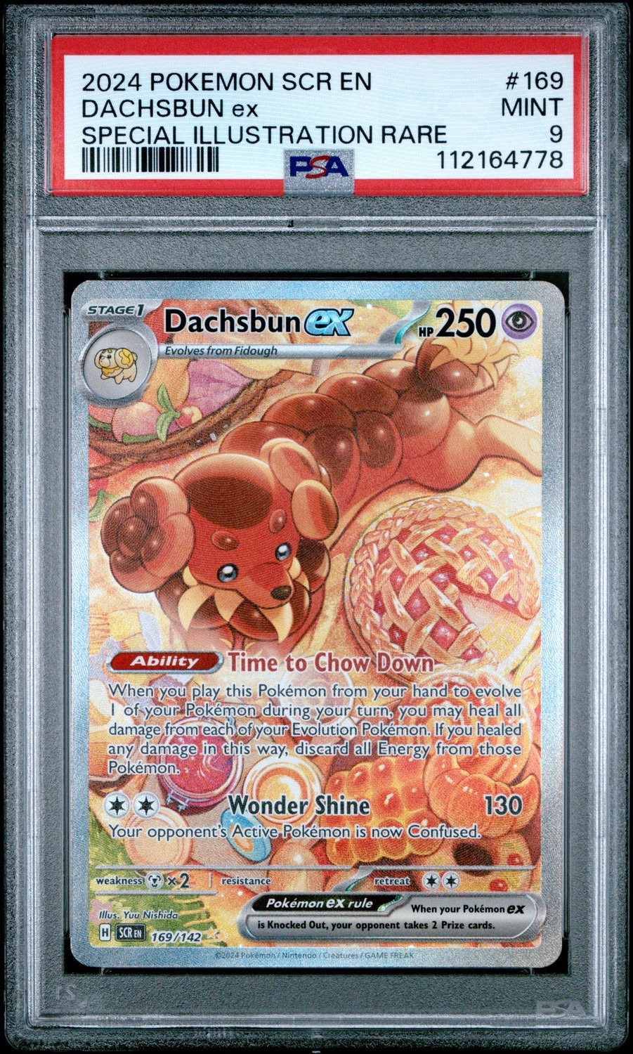 DACHSBUN ex