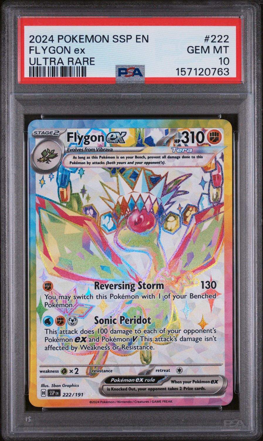 FLYGON ex