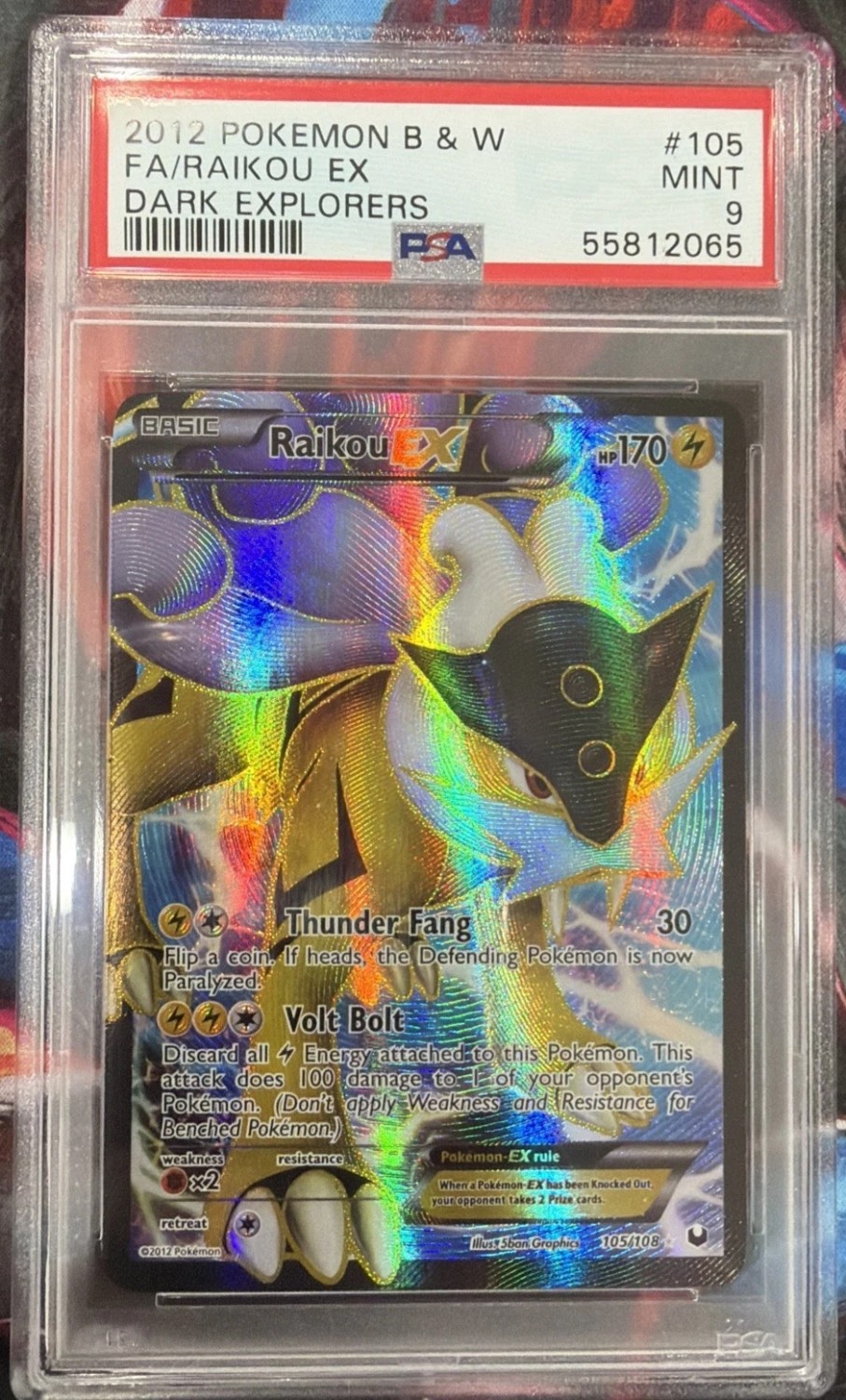 Raikou EX