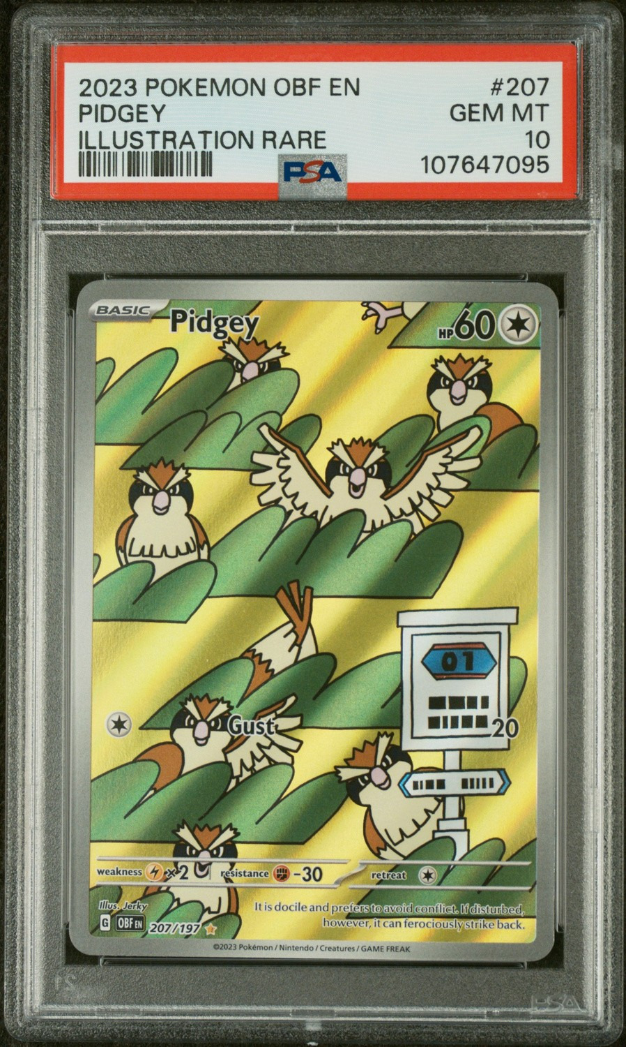 PIDGEY