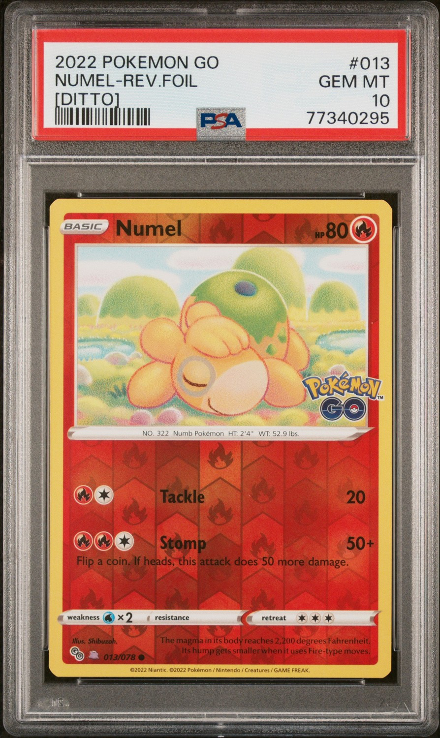 Numel (Ditto)