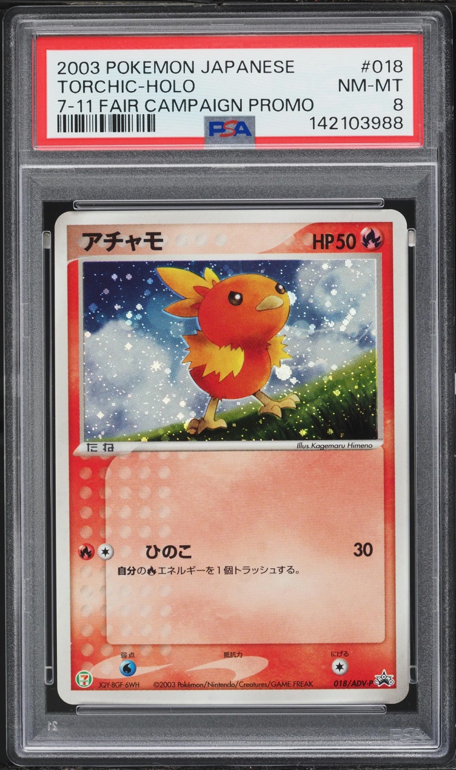 Torchic