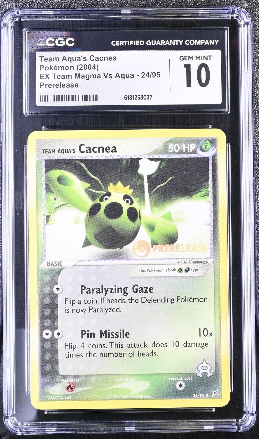 Team Aqua's Cacnea