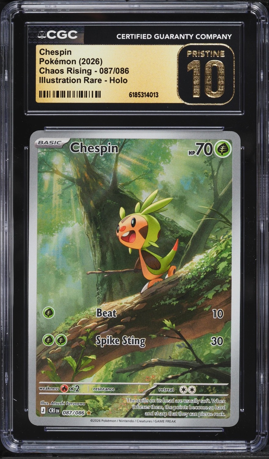 Chespin