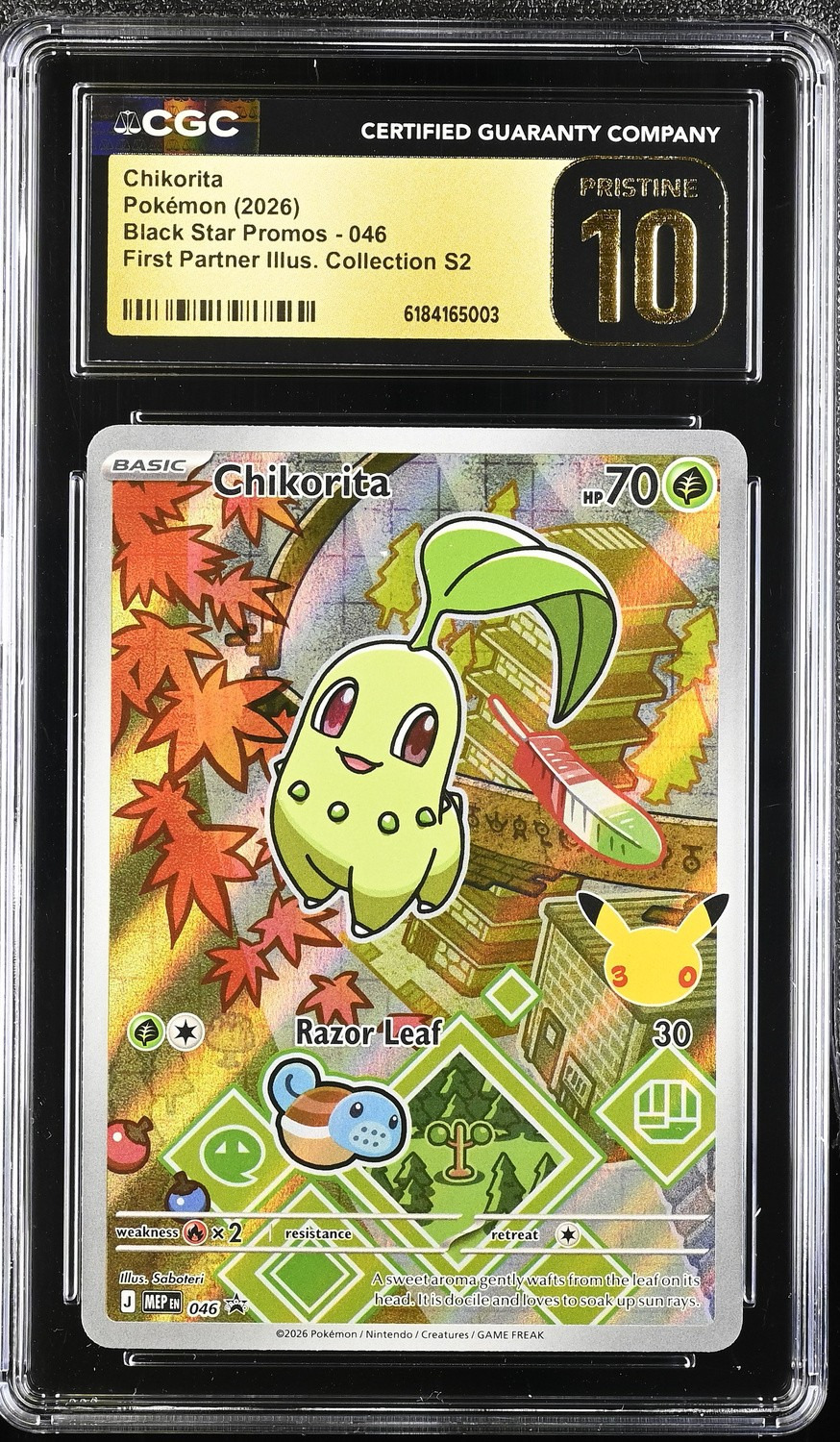 Chikorita