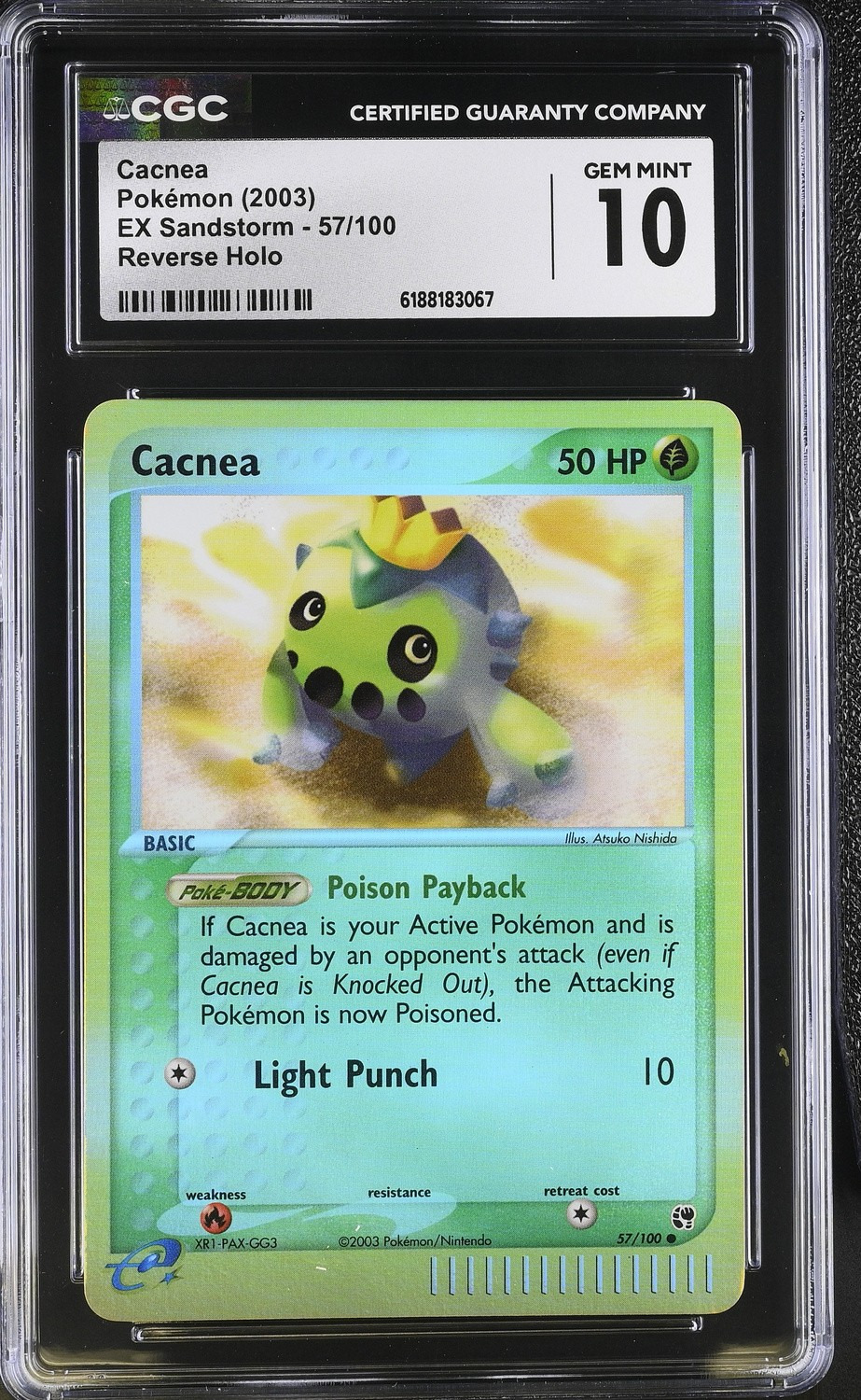 Cacnea