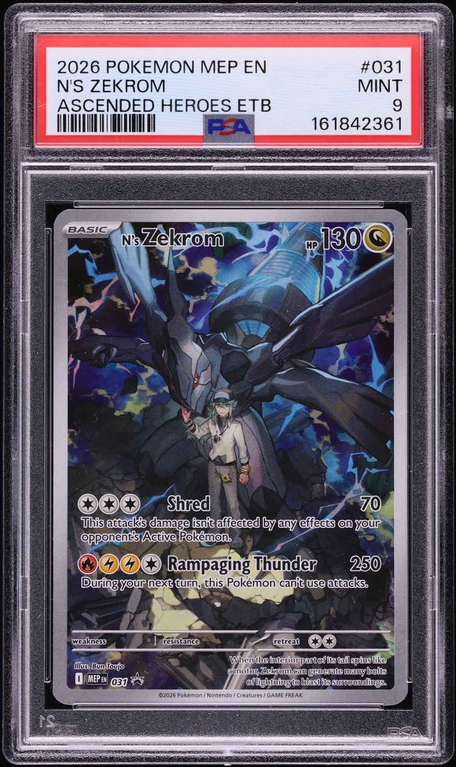 N'S ZEKROM