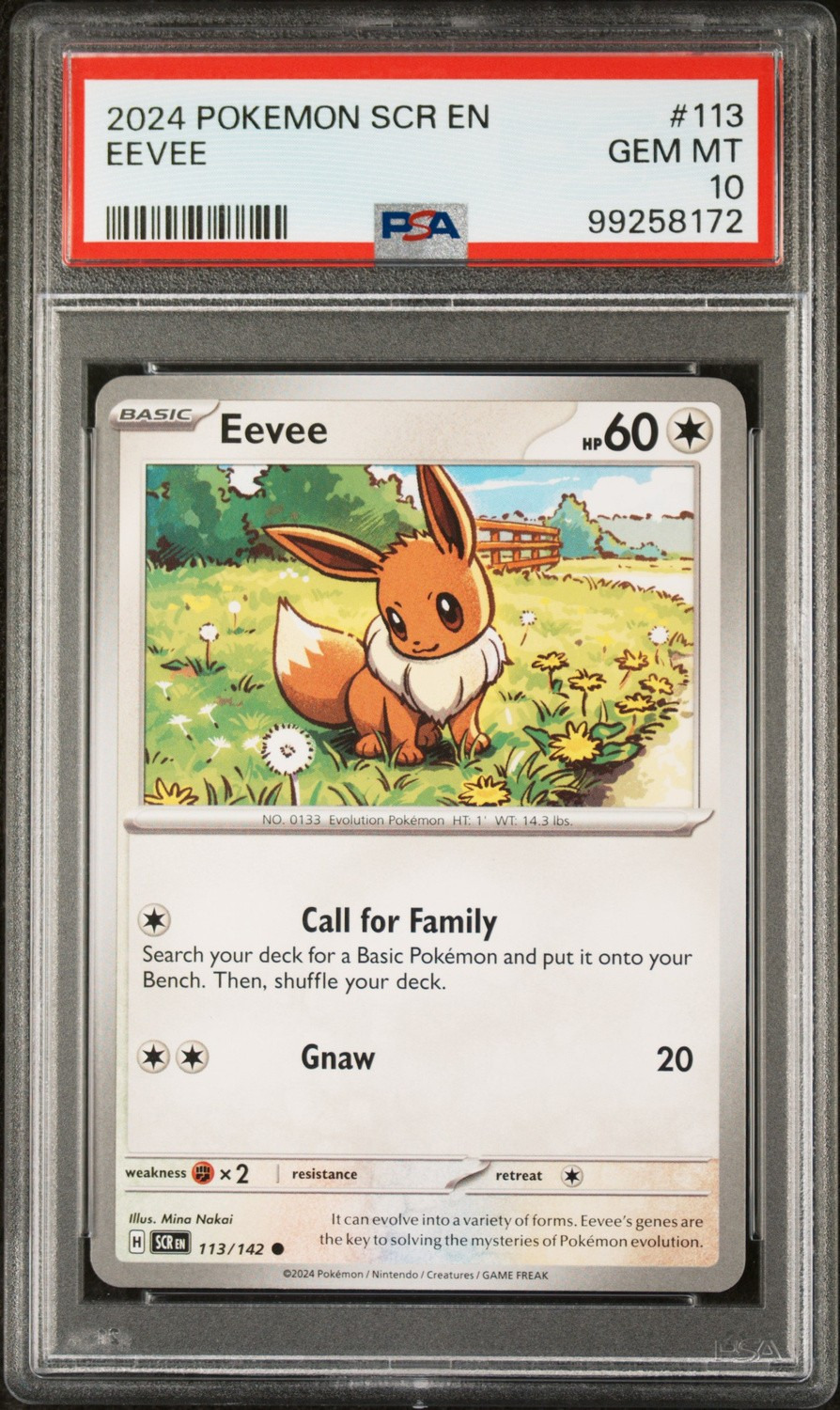 Eevee