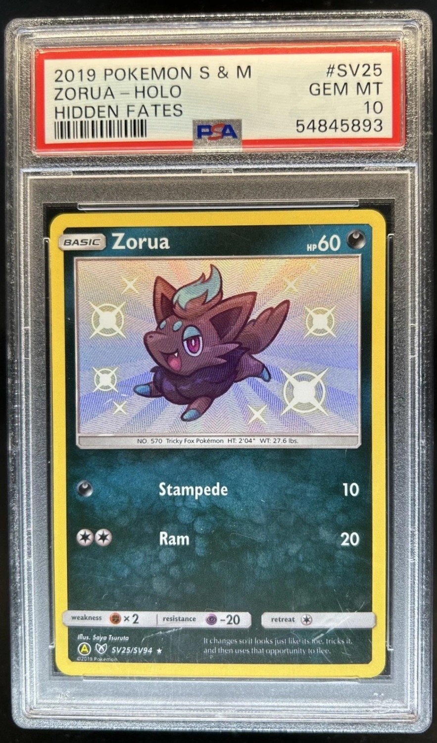 Zorua