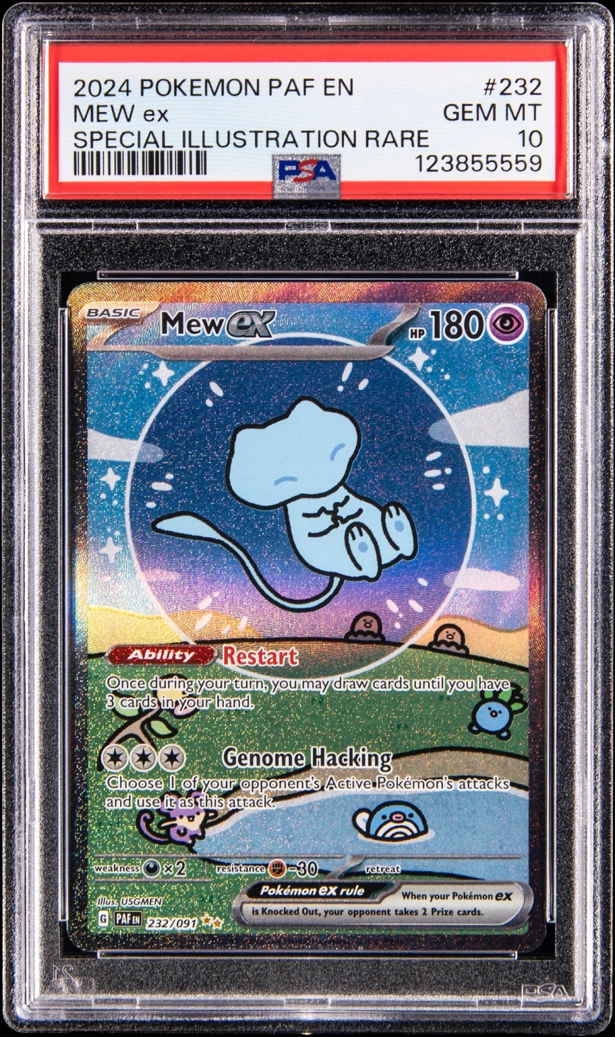 MEW ex