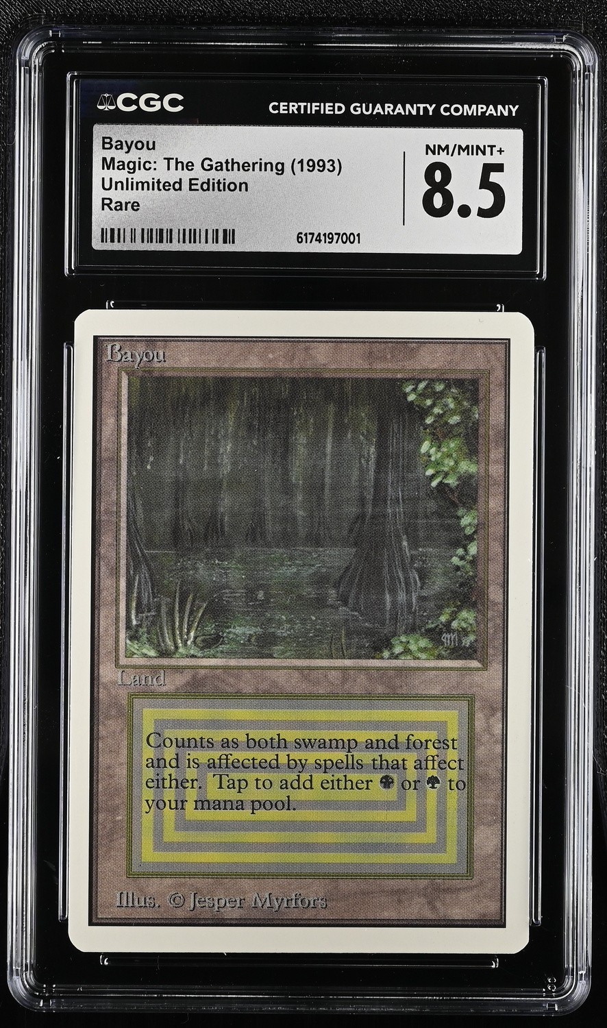 Bayou