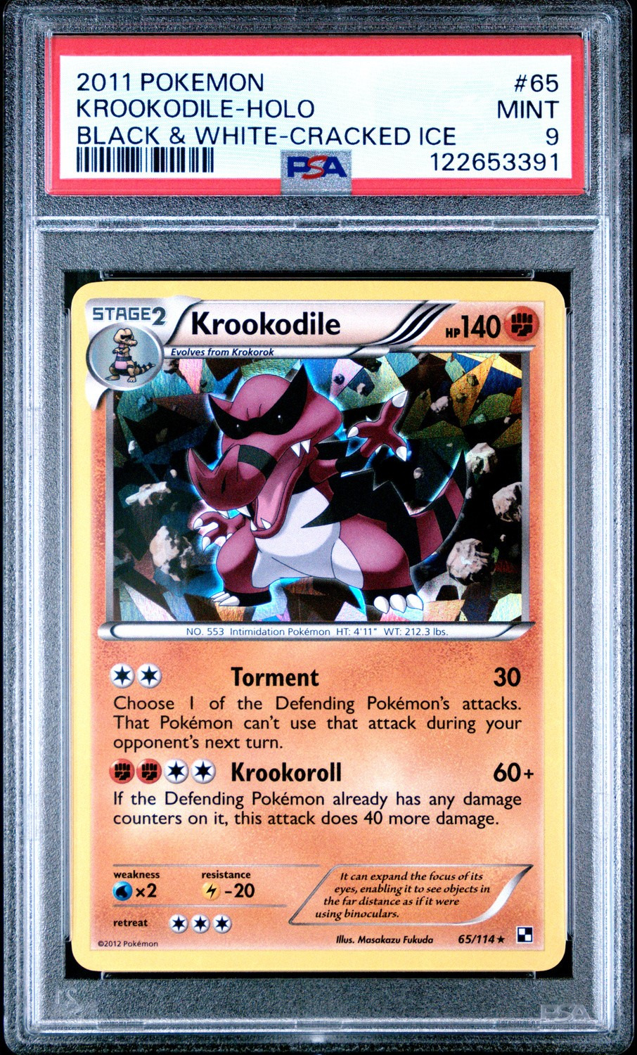KROOKODILE