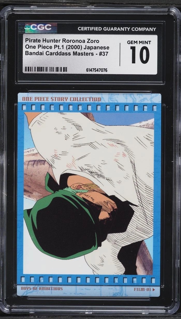 Pirate Hunter Roronoa Zoro