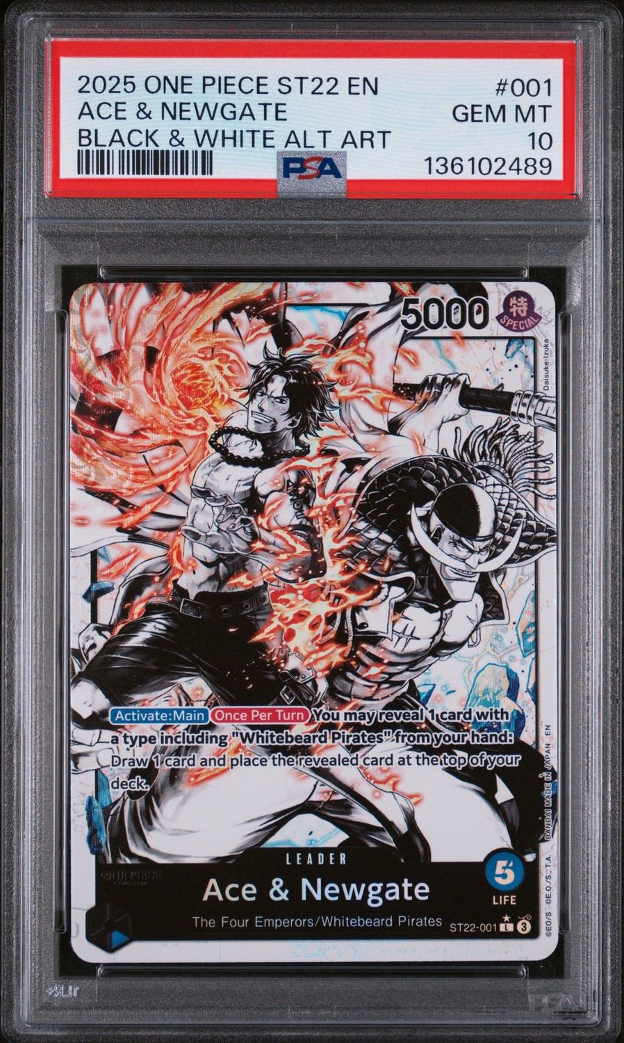 TCG Cards