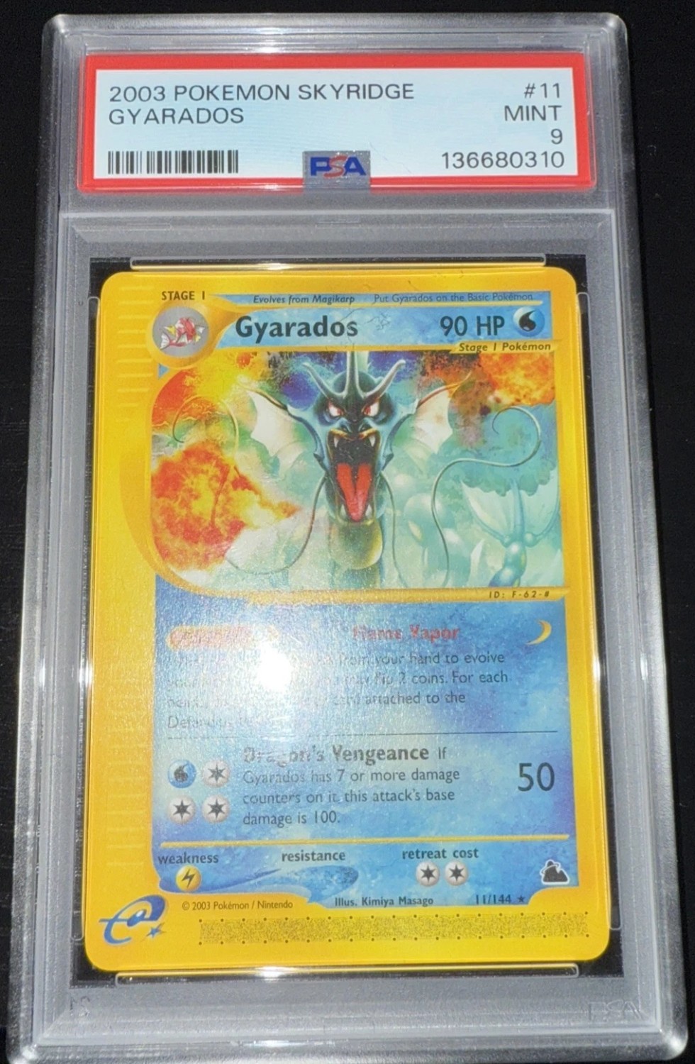 Gyarados R