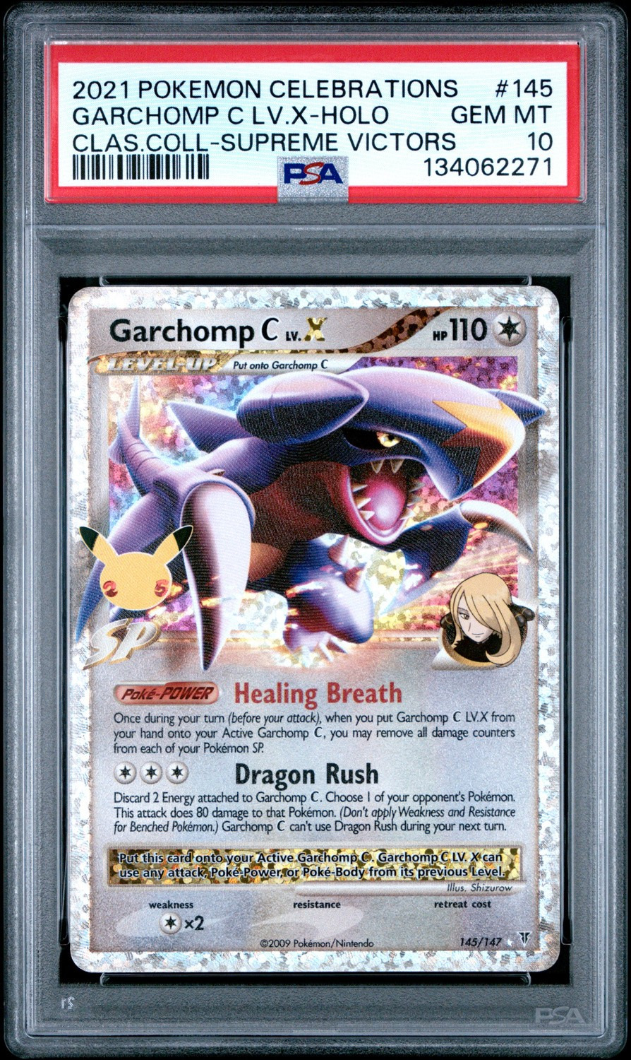 GARCHOMP C LV.X
