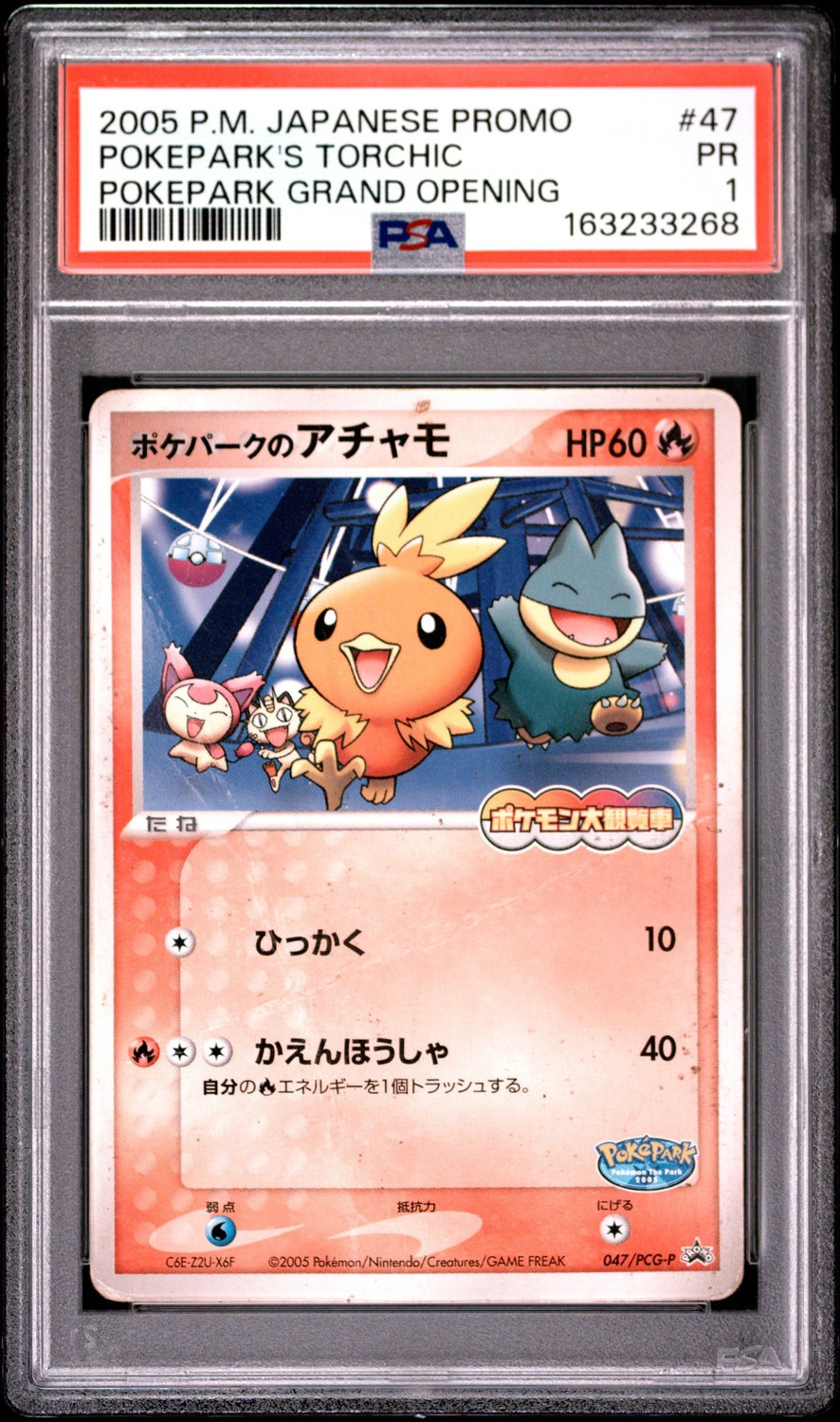 Pokepark's Torchic