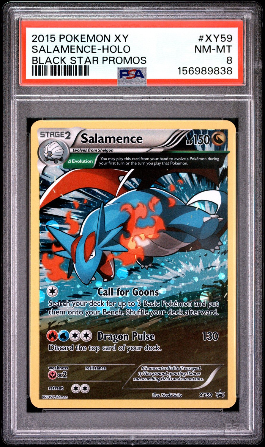 SALAMENCE