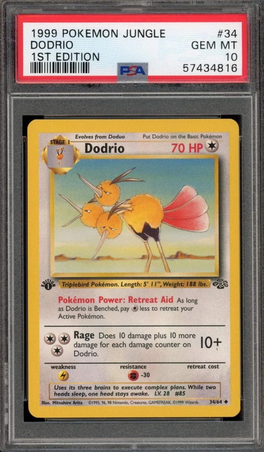 Dodrio