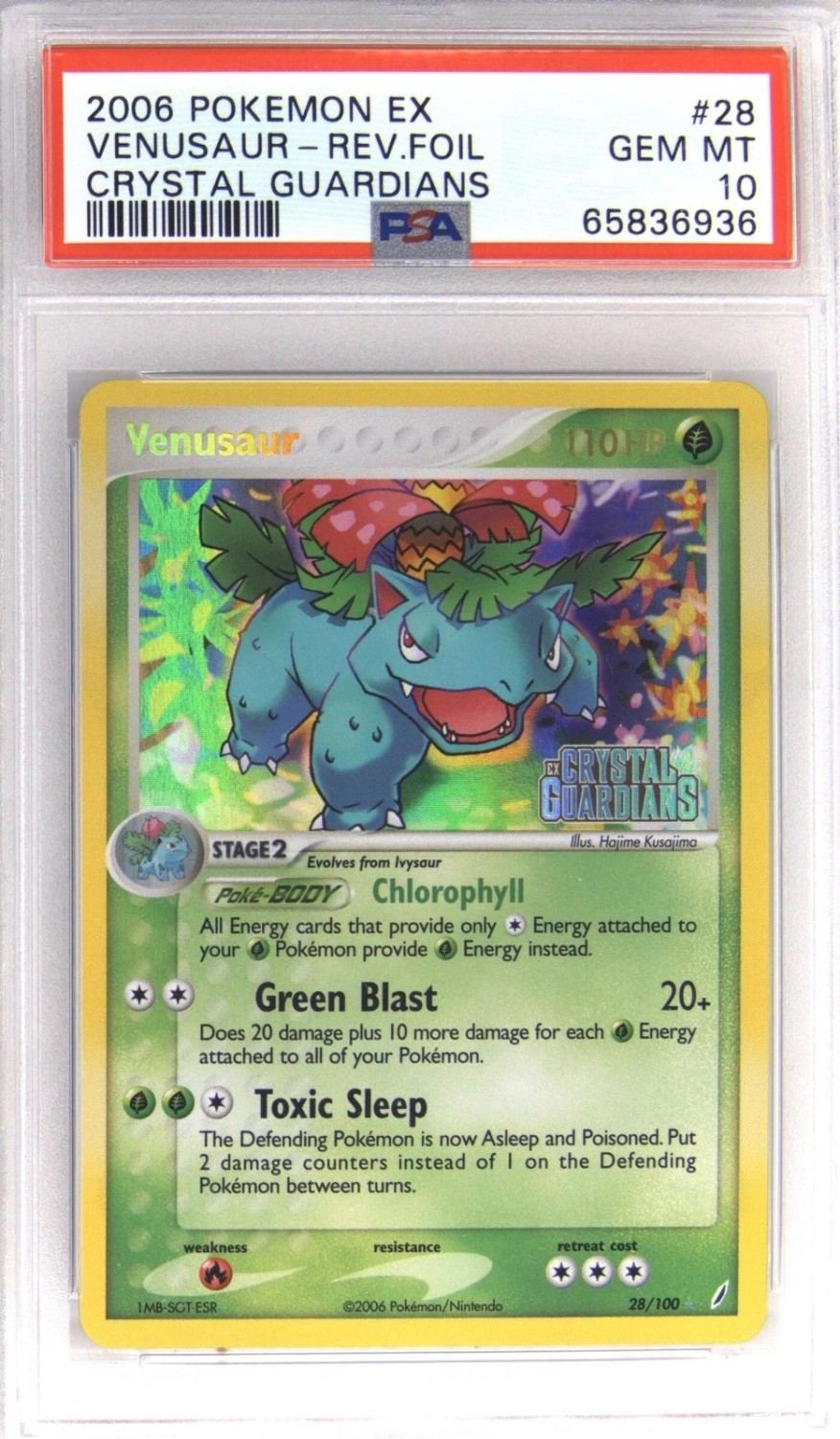 Venusaur R