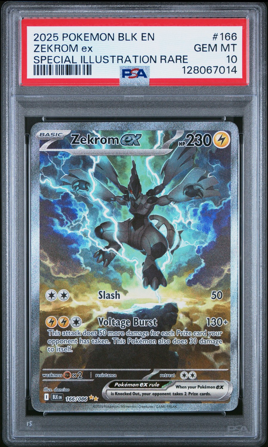 ZEKROM ex