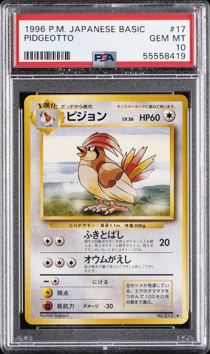 Pidgeotto