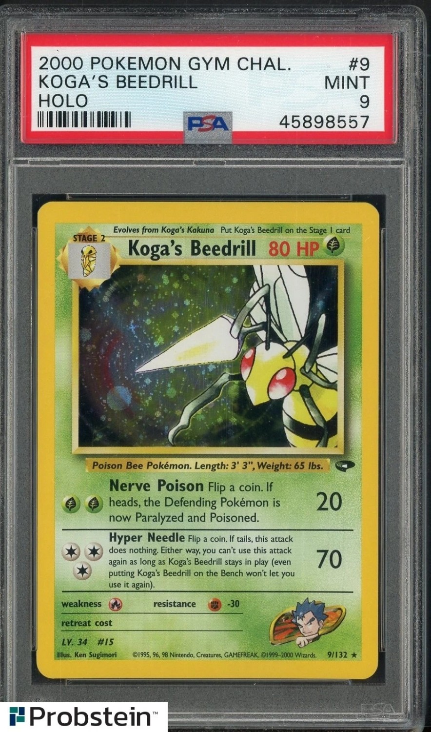 Koga's Beedrill