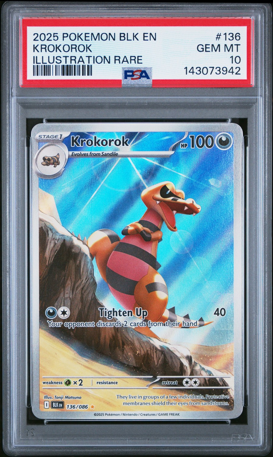 Krokorok