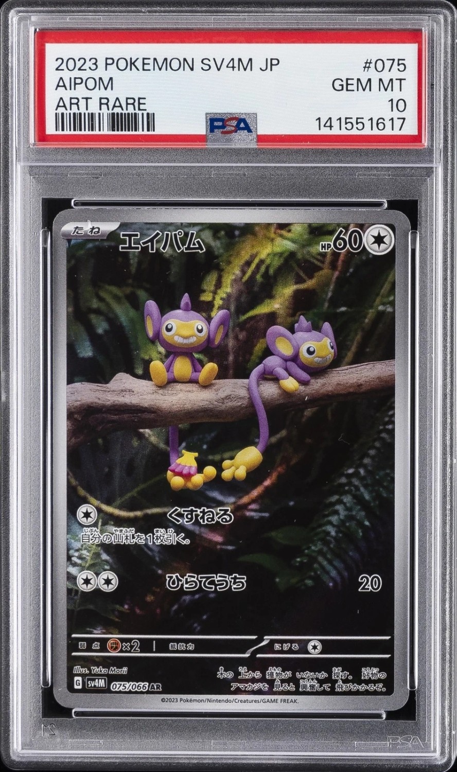 Aipom