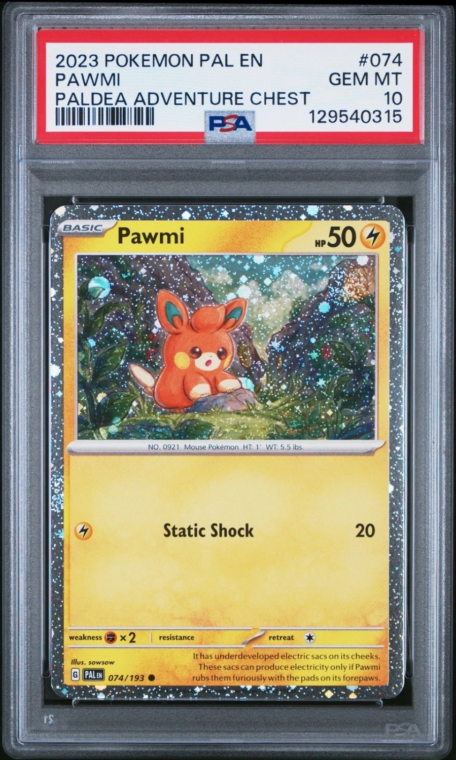 Pawmi