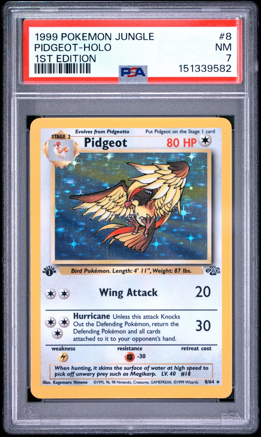 PIDGEOT