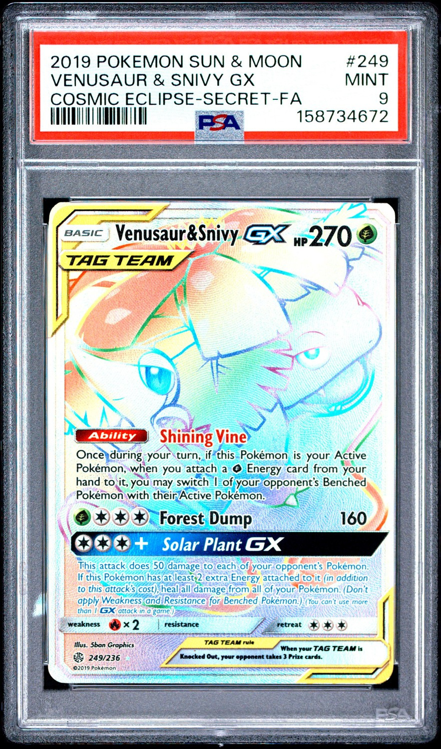 Venusaur & Snivy GX