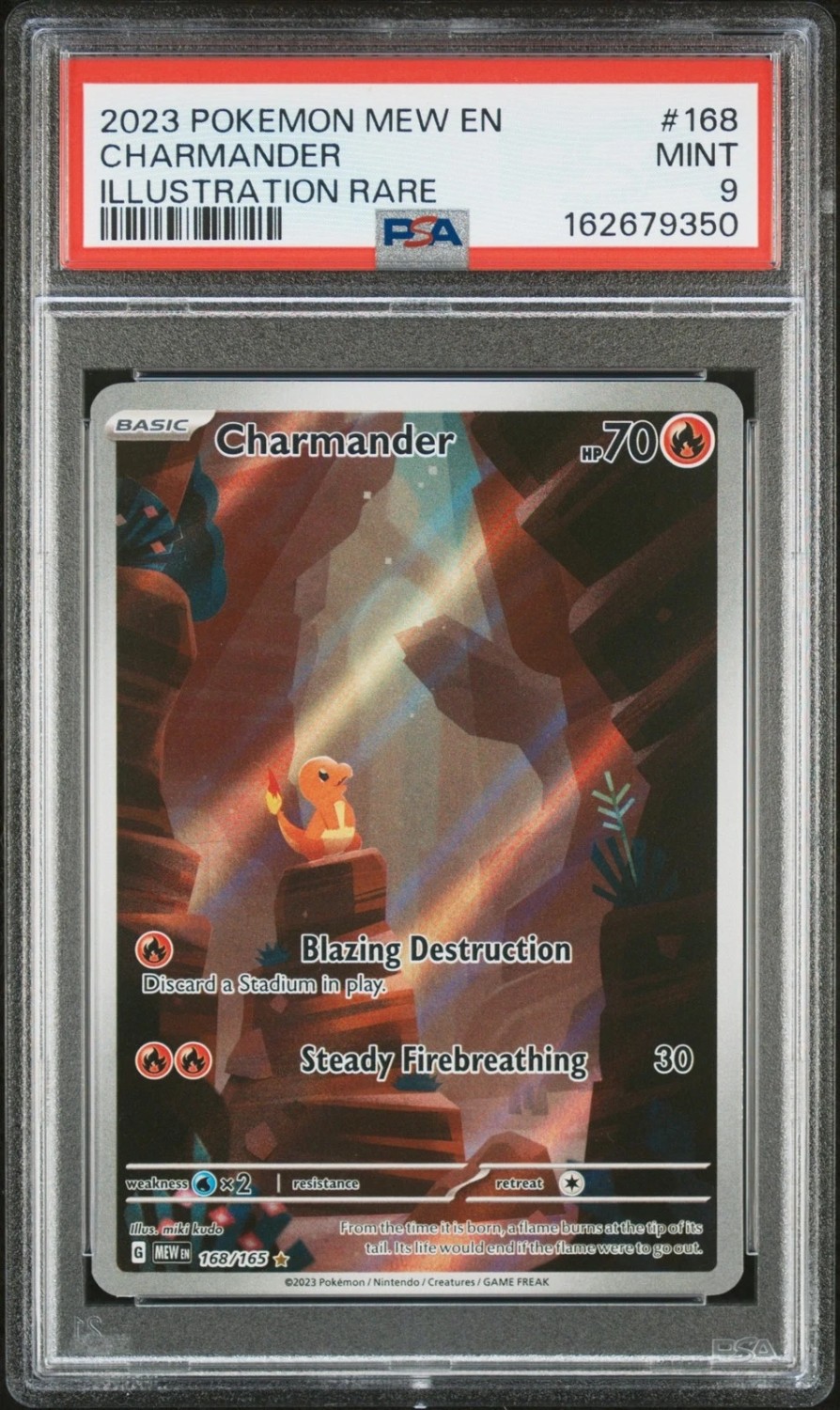 CHARMANDER