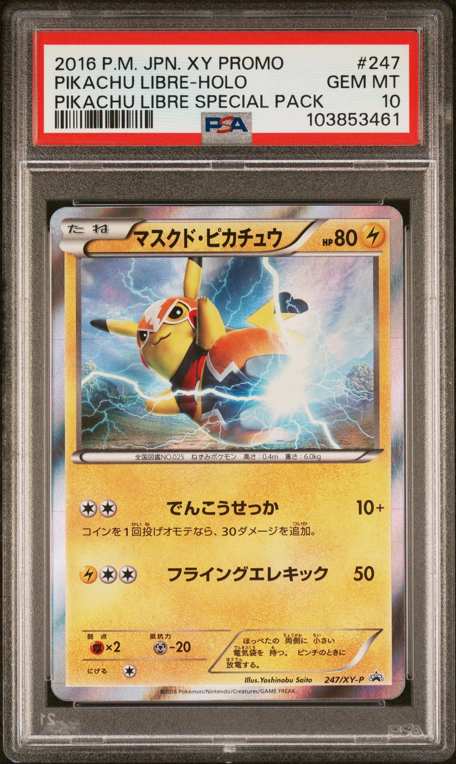Pikachu Libre