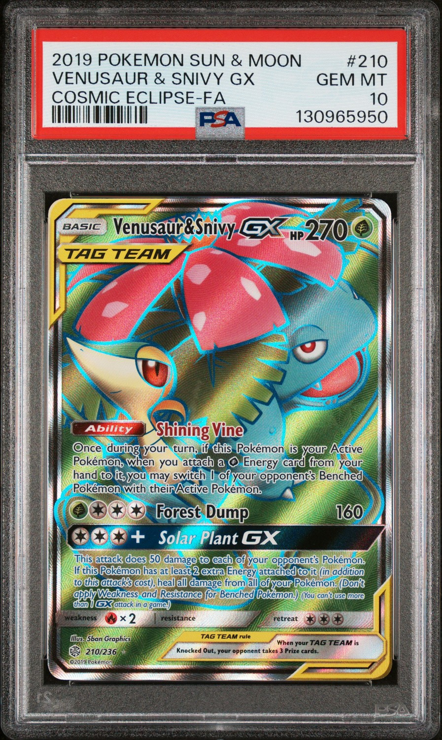 Venusaur & Snivy GX
