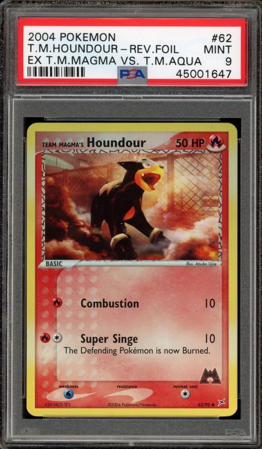 Team Magma's Houndour
