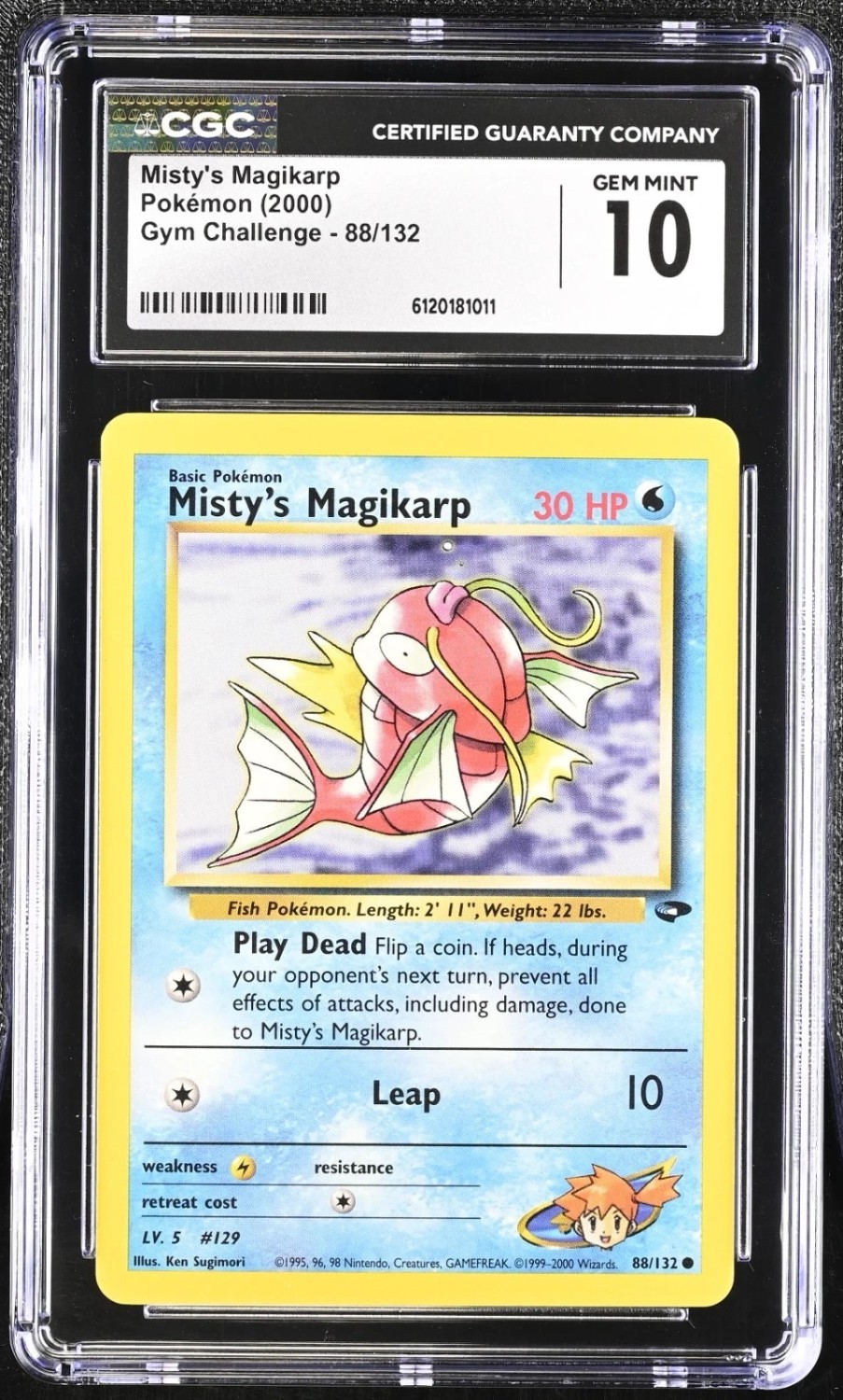 Misty's Magikarp