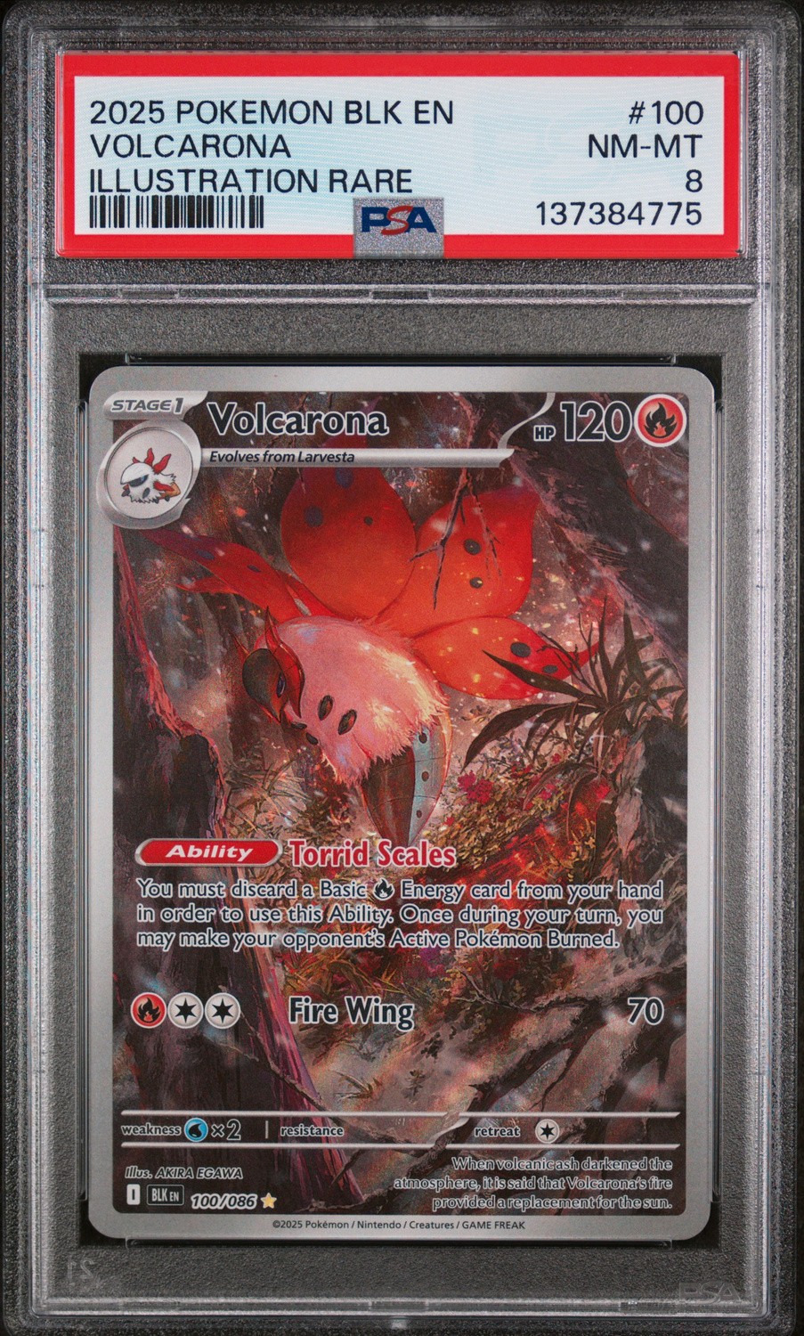 Volcarona