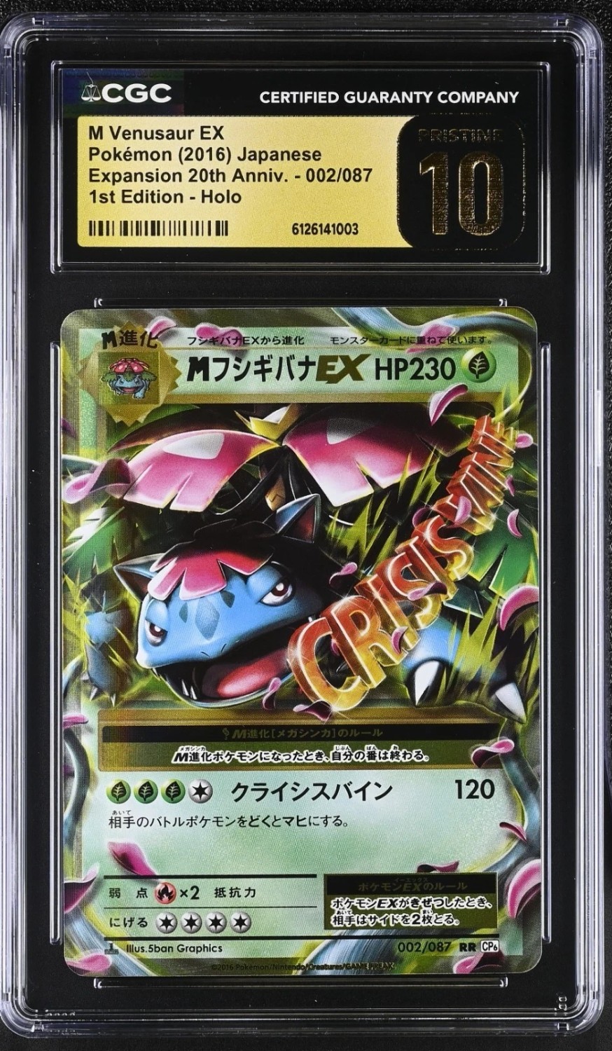 M Venusaur EX